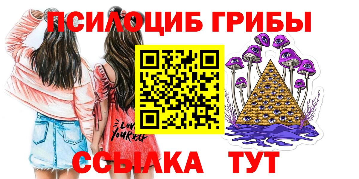 Галлюциногенные грибы Psilocybine cubensis  Псилоцибиновые грибы Cubensis  Новокузнецк  Вход с VPN 