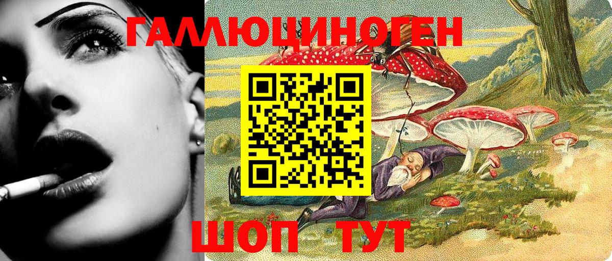 Псилоцибиновые грибы Psilocybe  Новокузнецк 