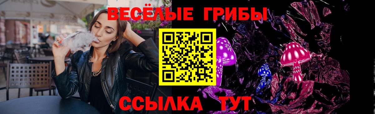 Галлюциногенные грибы Magic Shrooms Новокузнецк