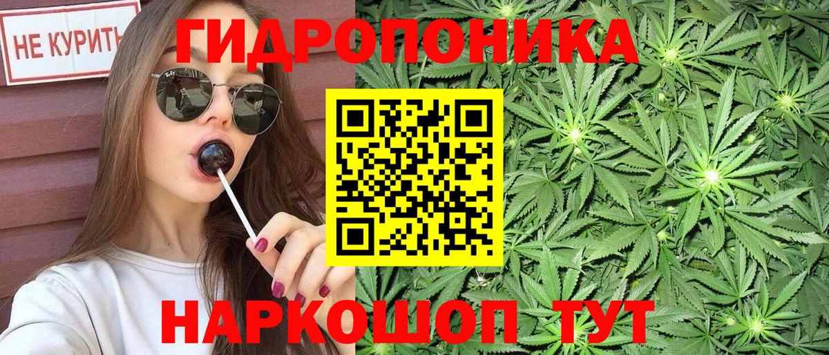 Шишки марихуана White Widow  Бошки Шишки сатива  МАРИХУАНА конопля  Новокузнецк 